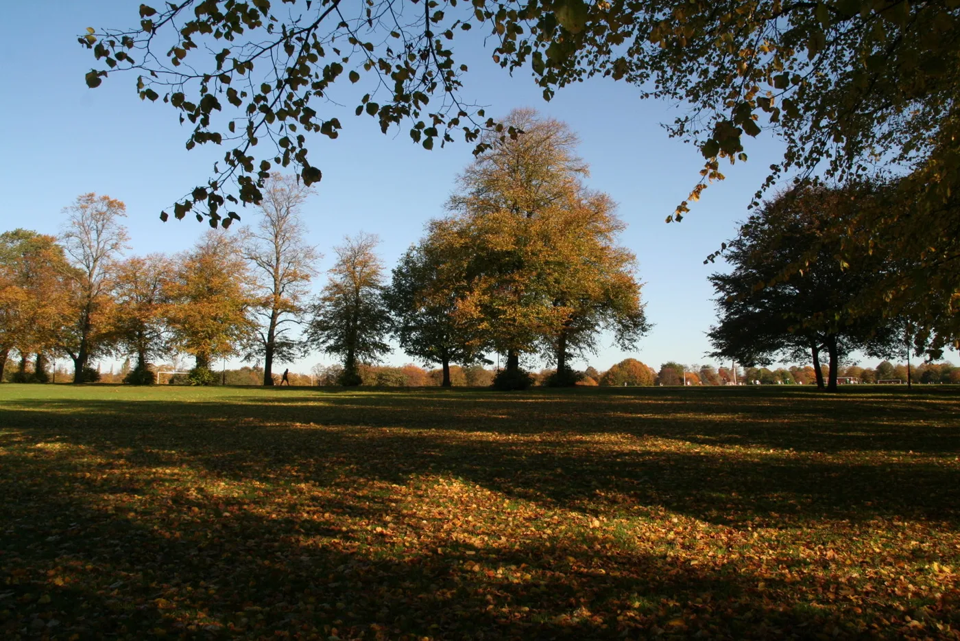 The Racecourse in Northampton on an October morning, where the display is held